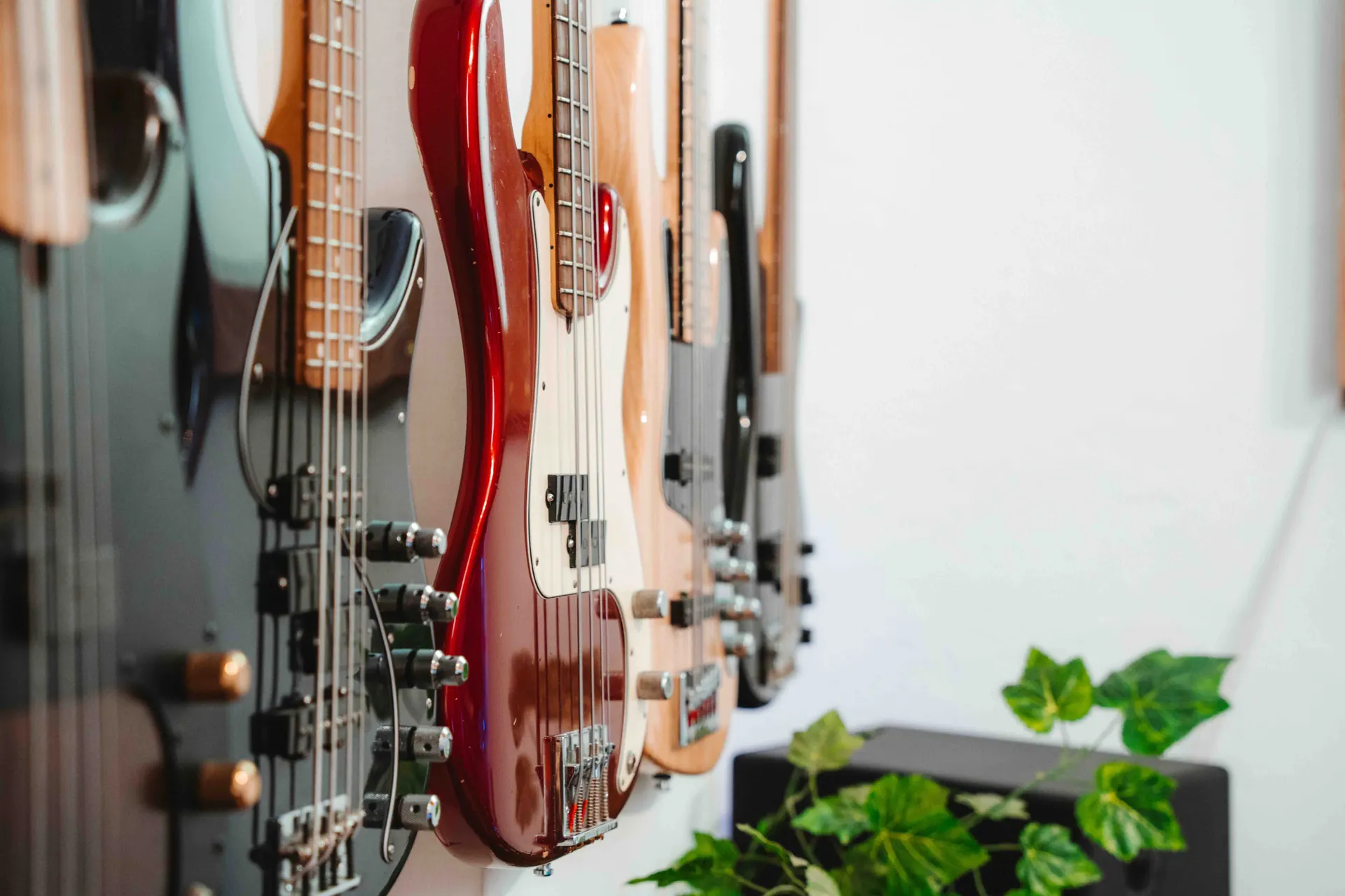 A row of bass guitars on the studio wall