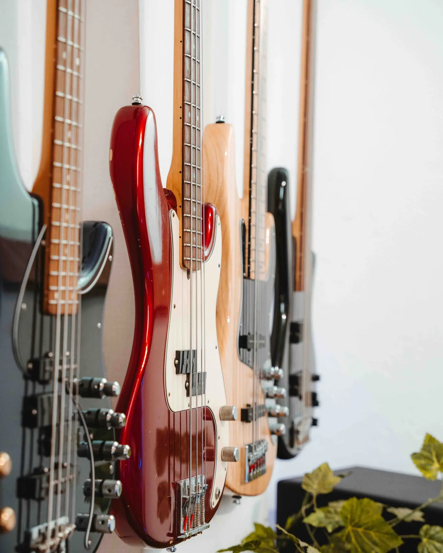 A row of bass guitars at Lost Oscillation studio